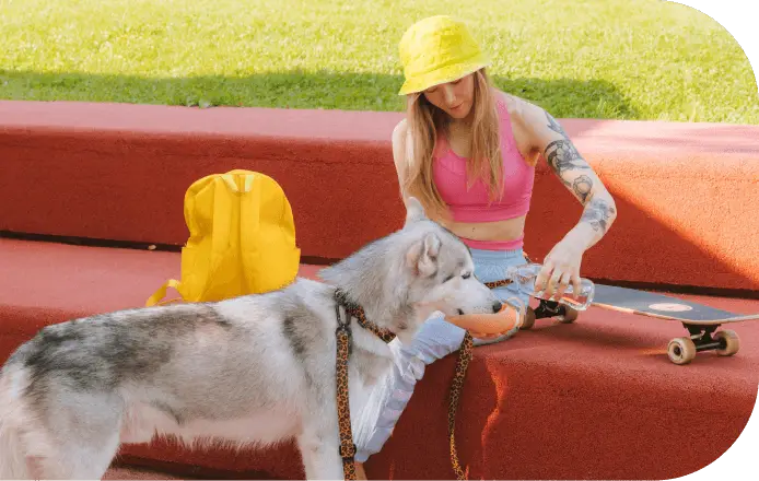 Comida húmeda premium para perros y gatos